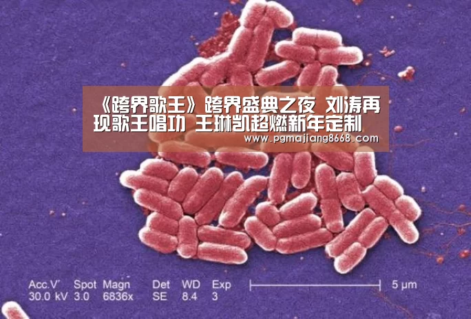 《跨界歌王》跨界盛典之夜 刘涛再现歌王唱功 王琳凯超燃新年定制荧屏首秀‘PG游戏平台’(图1) PG电子老虎机