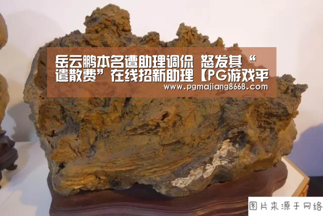 岳云鹏本名遭助理调侃 怒发其“遣散费”在线招新助理【PG游戏平台】(图3) PG真人麻将