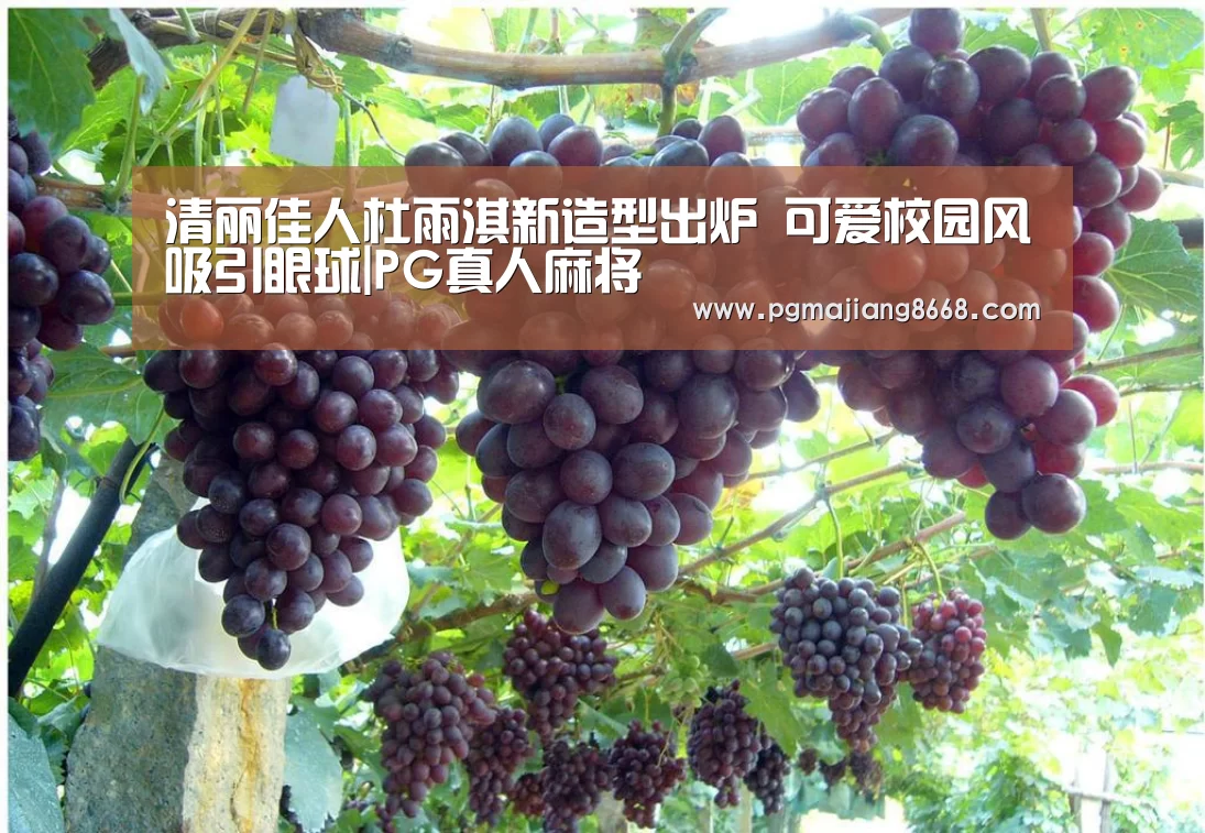 清丽佳人杜雨淇新造型出炉 可爱校园风吸引眼球|PG真人麻将(图2) PG麻将游戏大厅