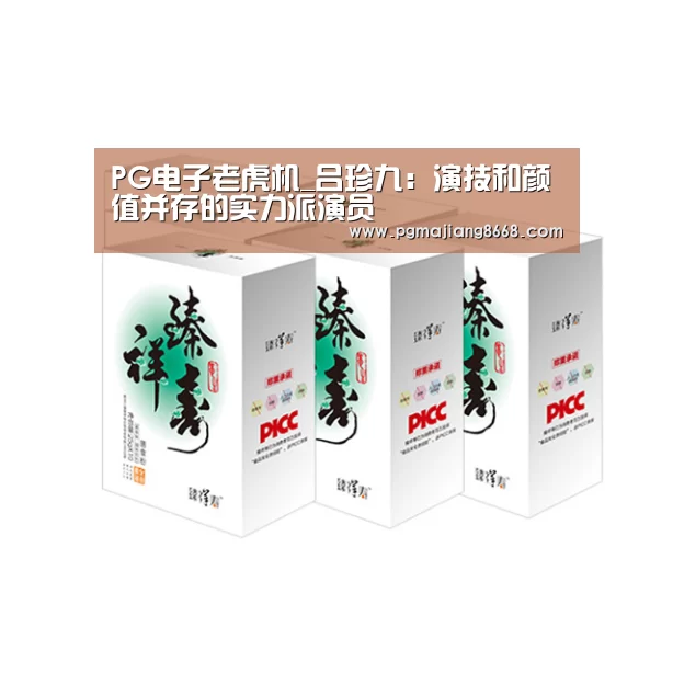 PG电子老虎机_吕珍九:演技和颜值并存的实力派演员(图3) PG电子老虎机